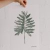 Buy Homeforest Poster Set