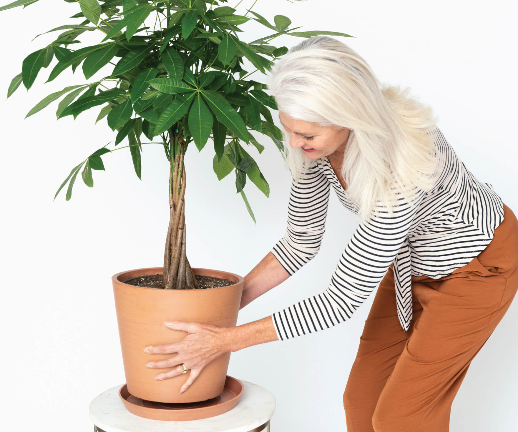 191118_seasonal-depression-main-image-copy-2-2 Bloomscape | Houseplant Therapy for Seasonal Depression