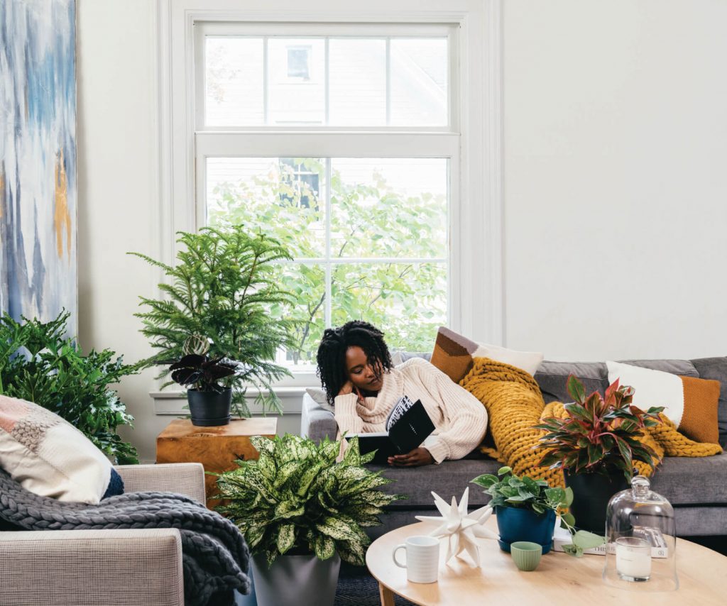 Bloomscape | Houseplant Therapy for Seasonal Depression