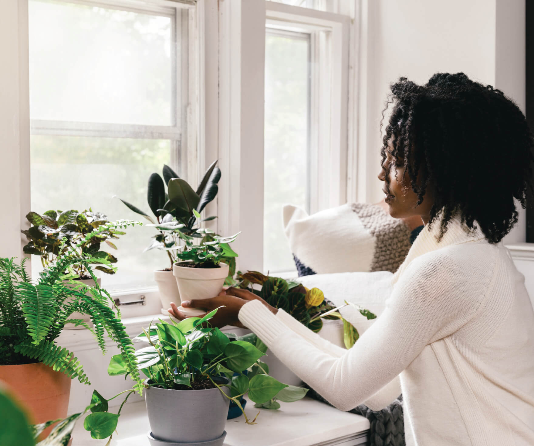 191118_winter-plant-caremain-image-copy-2 Bloomscape | Winter Plant Care