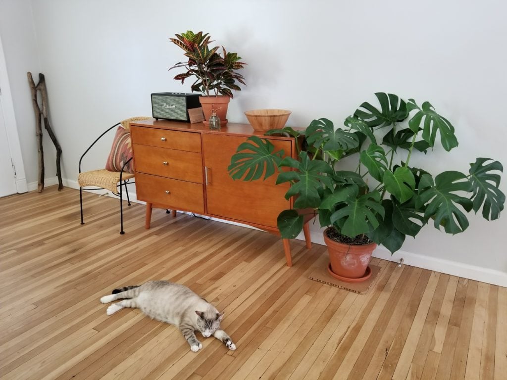 20180611_112619_mr1528743588870-1024x768-2 charming mid-century california bungalow