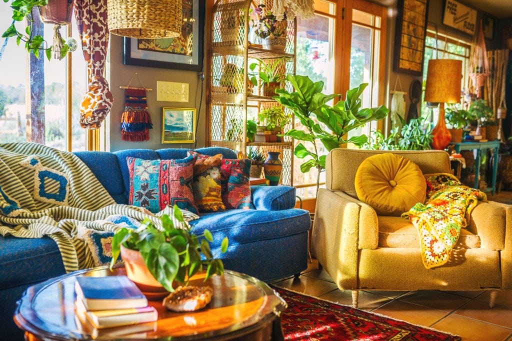 20180831_091351-1024x682-2 Plant Life Series: A Colorful Southwestern Maximalist Home