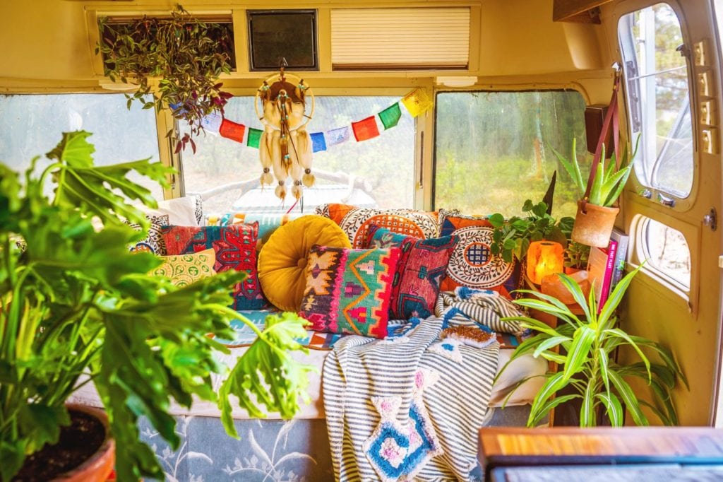 20180903_165920-1024x682-2 Plant Life Series: A Colorful Southwestern Maximalist Home