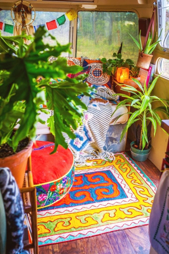 20180903_170105-682x1024-2 Plant Life Series: A Colorful Southwestern Maximalist Home