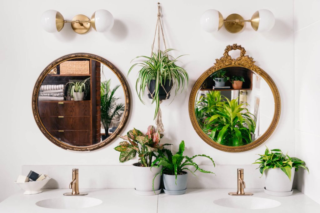 20190529_bathroom_sinks_0001-1024x683-2 Best Plants for the Bathroom: Bloomscape Your Space
