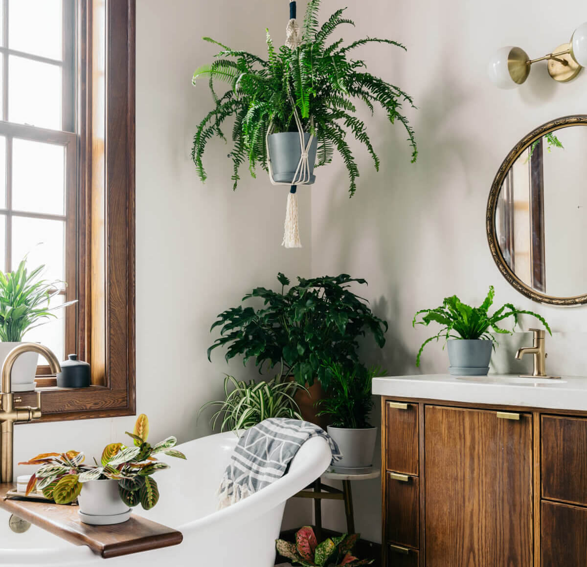 20190529_bathroom_sm_0001-e1561983545356-2 Best Plants for the Bathroom: Bloomscape Your Space