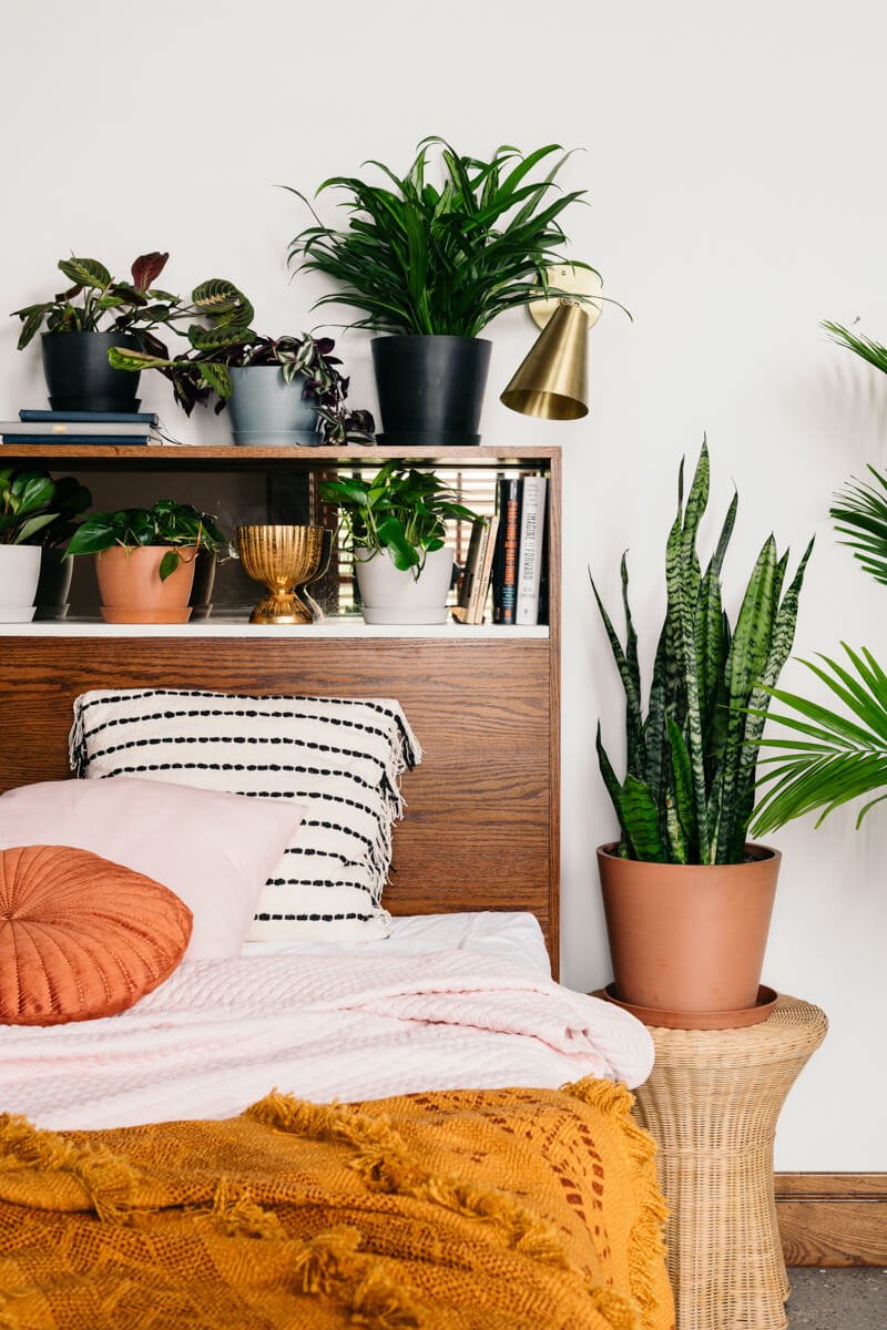 20190529_bedroom_vignette2_0012-2 Transform Your Bedroom with Plants