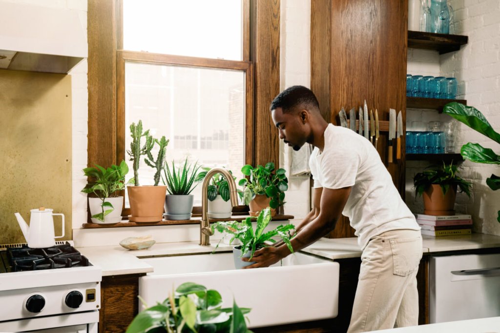 20190529_kitchen_vignette2_0031-3-1024x683-2 Best Plants for the Kitchen: Bloomscape Your Space