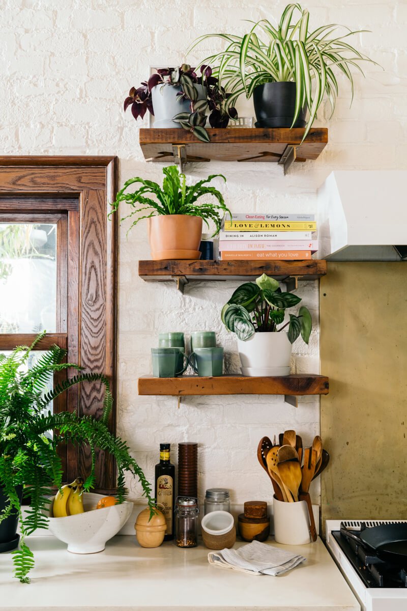 20190529_kitchen_vignette_0010-3-2 Best Plants for the Kitchen: Bloomscape Your Space