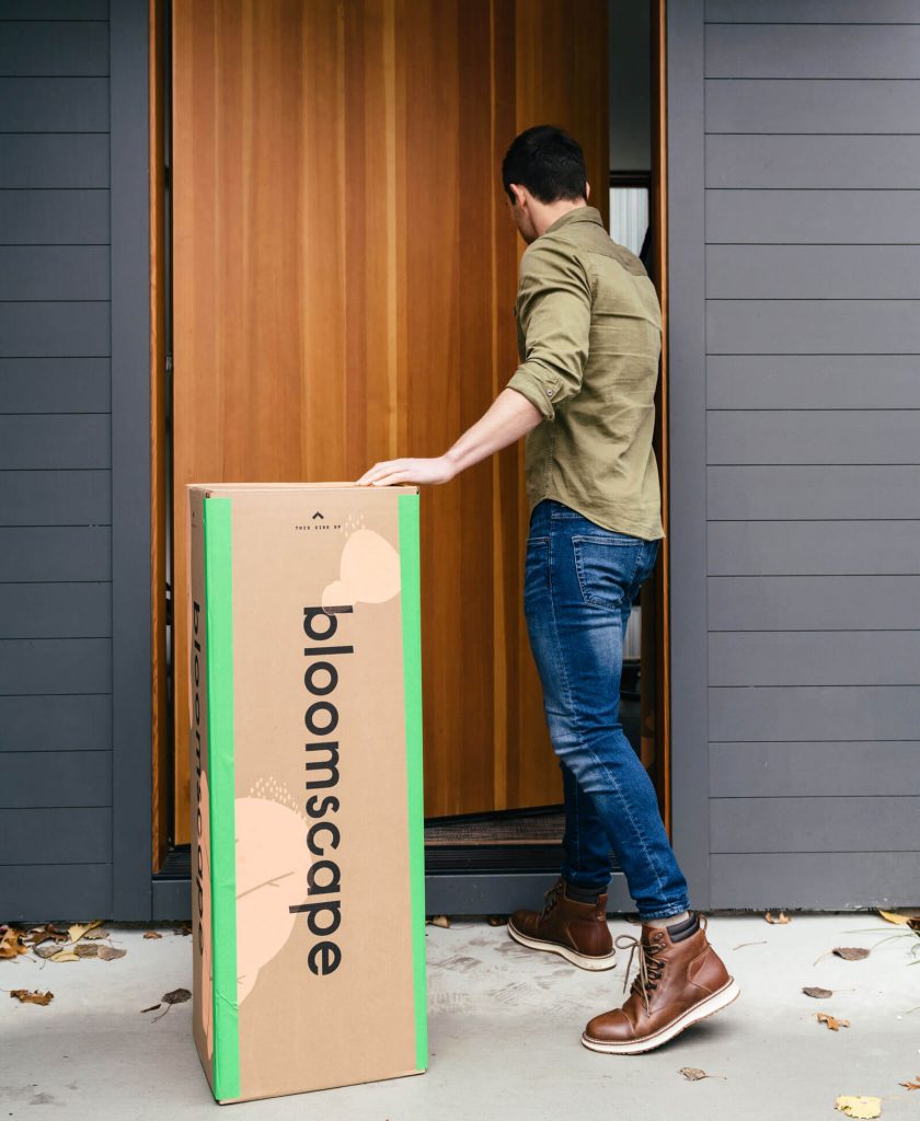Best Plants for Apartments, Bloomscape