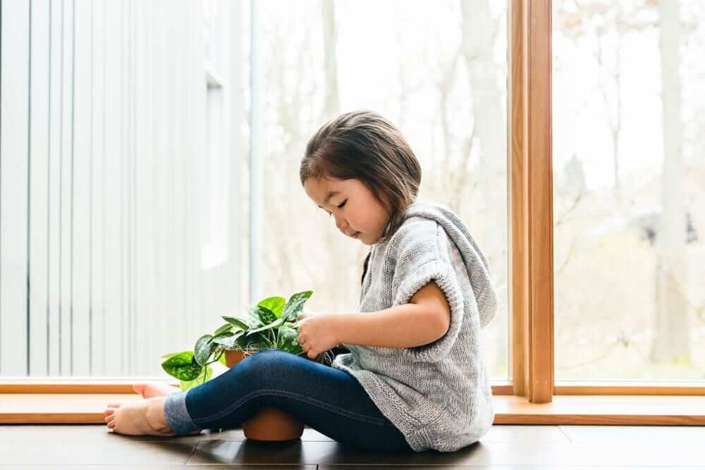 blog-health-benefits-2-2 Health Benefits of Indoor Plants