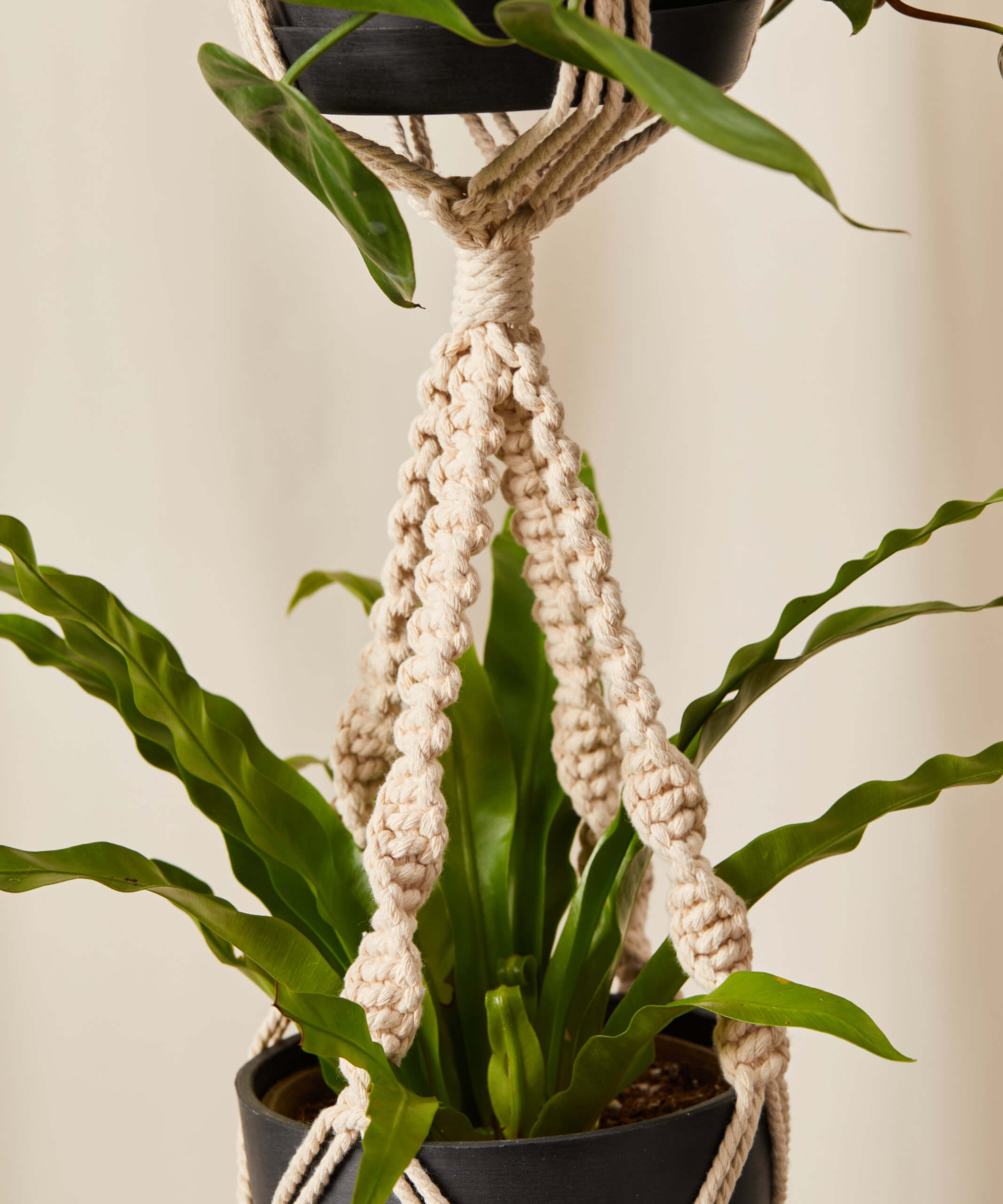 bloomscape-double-plant-hanger_detail1