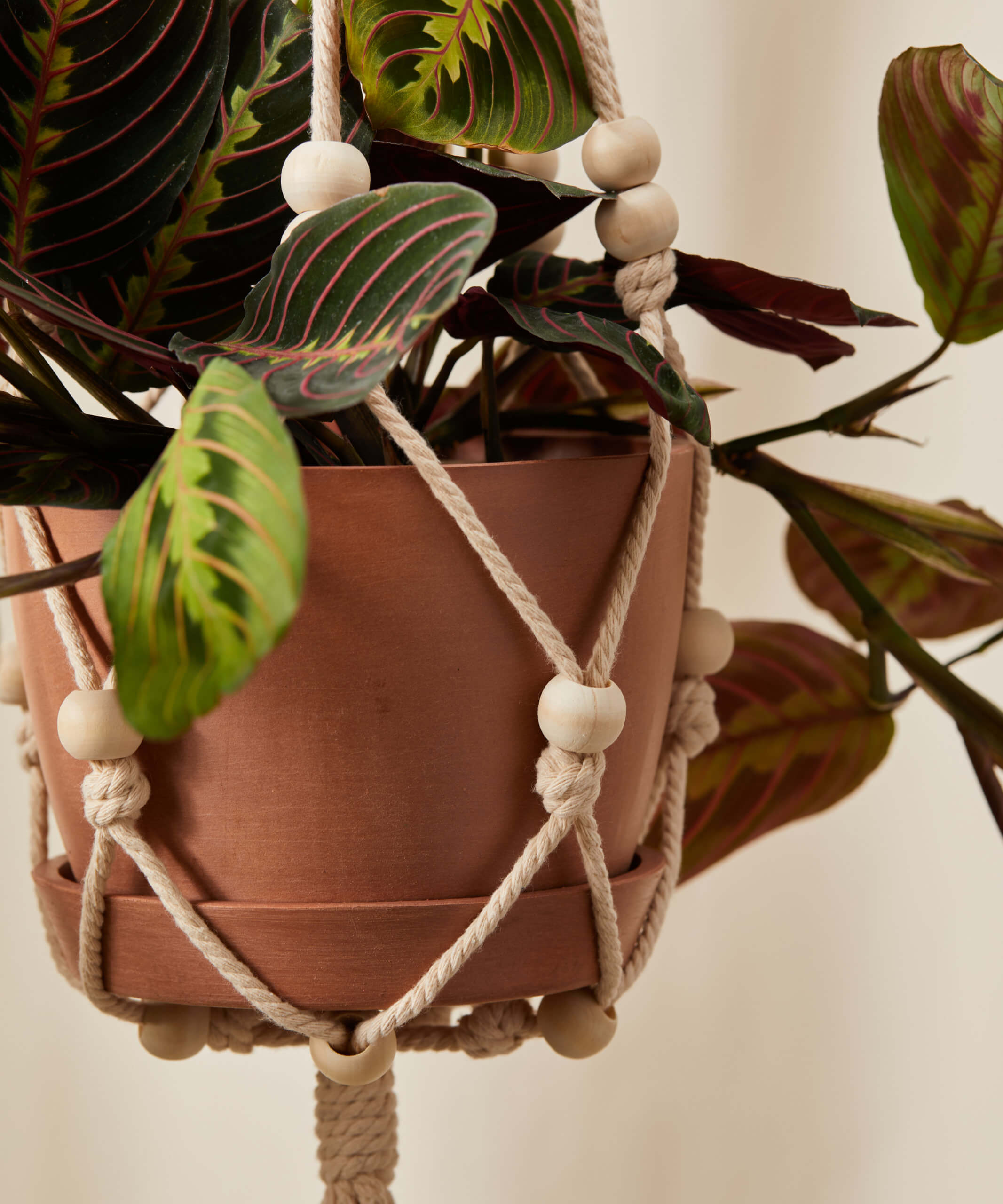 bloomscape_beaded-plant-hanger_detail2