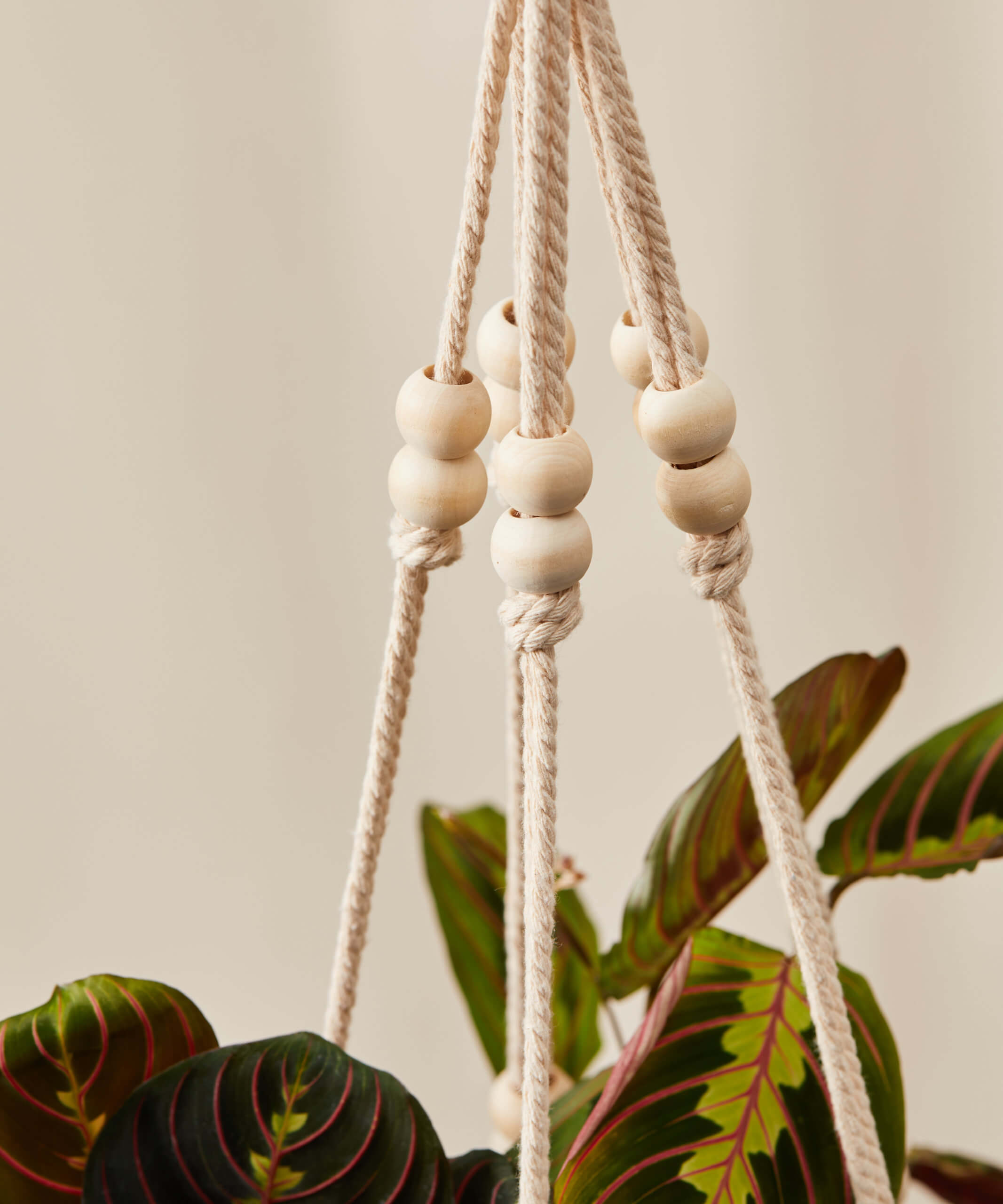 bloomscape_beaded-plant-hanger_detail3