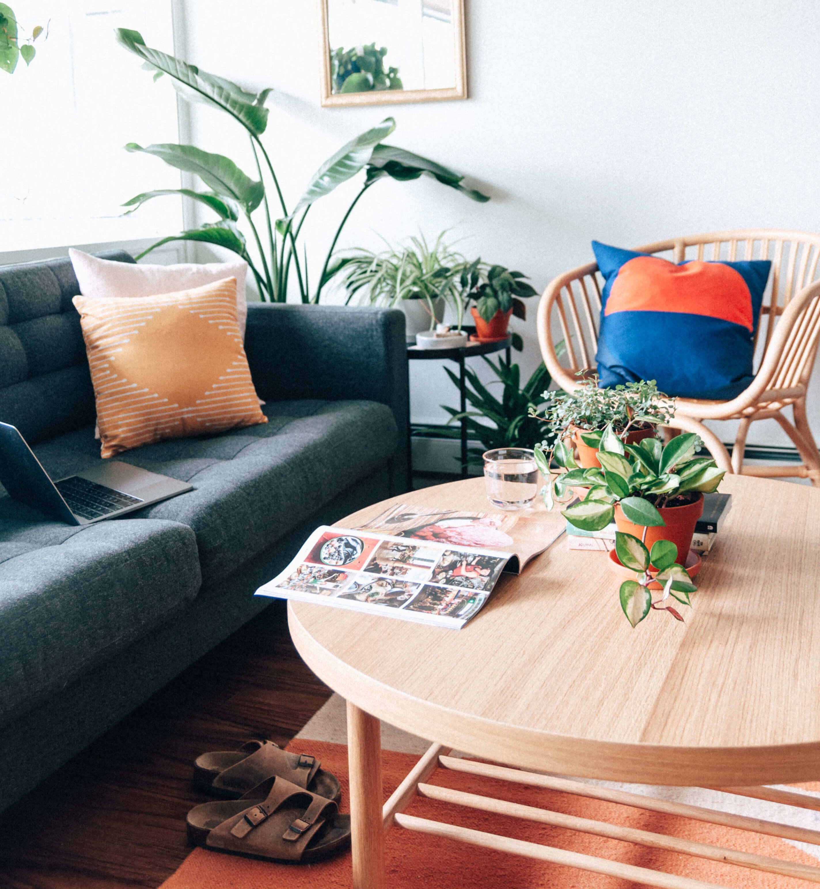 bloomscape_collections_lifestyle-2-e1568231556531-1 5 Ways to Recharge this Fall | Bloomscape