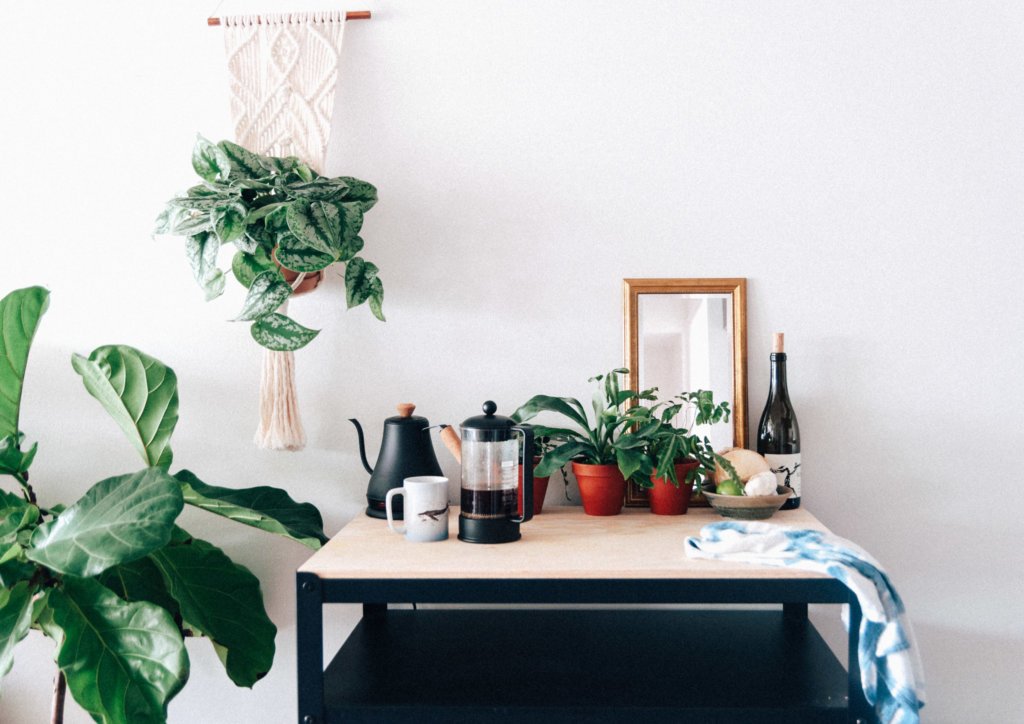 bloomscape_collections_lifestyle-9-1024x724-2 5 Ways to Recharge this Fall | Bloomscape
