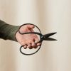 Buy Homeforest Hidehisa Okuba Garden Scissors