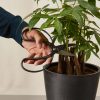 Buy Homeforest Hidehisa Okuba Garden Scissors
