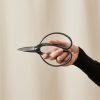 Buy Homeforest Hidehisa Okuba Garden Scissors