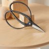 Buy Homeforest Hidehisa Okuba Garden Scissors