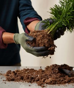Garden Gloves