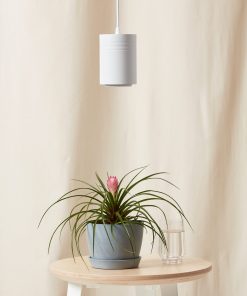 Small Grow Light