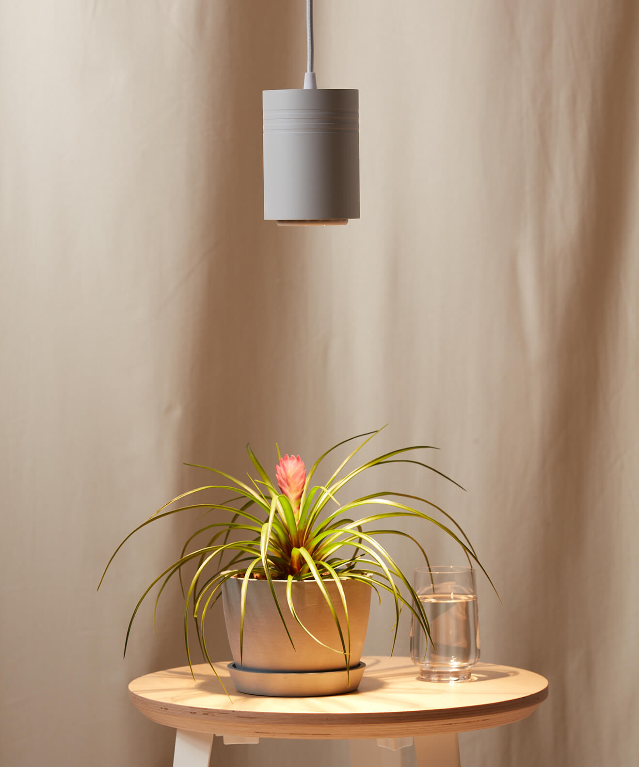 bloomscape_grow-light_small_white_detail