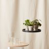 Buy Homeforest Hanging Saucer