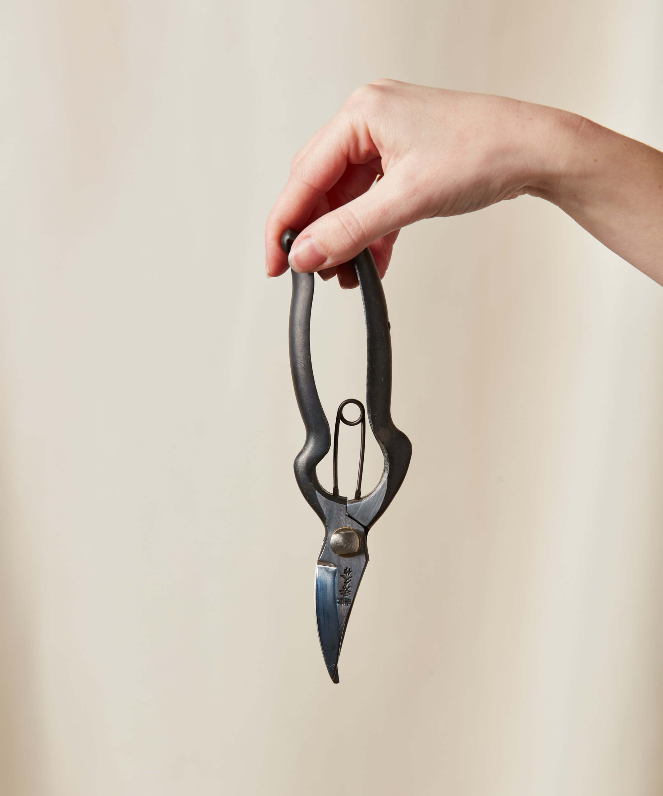 Buy Homeforest Hidehisa Banno Sentei Pruning Shears Buy Homeforest Hidehisa Banno Sentei Pruning Shears