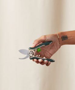 Buy Homeforest Houseplant Pruner