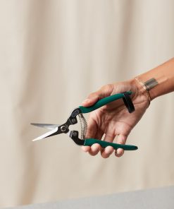 Buy Homeforest Houseplant Snips
