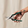 Buy Homeforest Houseplant Snips