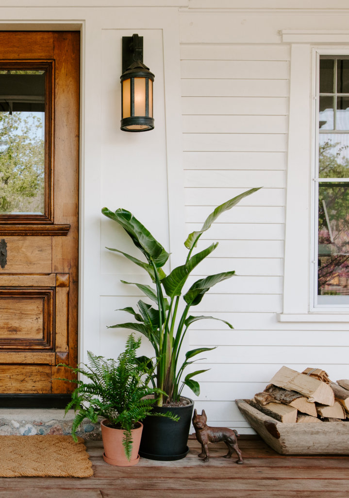 bloomscape_indoor-outdoor_5-719x1024-2 Moving Indoor Plants Outside for the Summer
