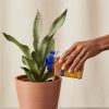 Buy Homeforest Time Release ClassiCote Fertilizer