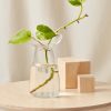Buy Homeforest Large Kinto Propagation Vase