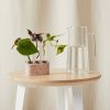 Buy Homeforest Multi Tube Propagation Kit
