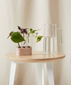 Buy Homeforest Multi Tube Propagation Kit