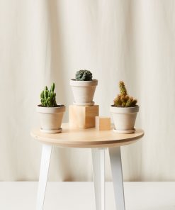 Buy Homeforest Painted Desert Collection