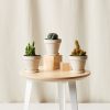 Buy Homeforest Painted Desert Collection