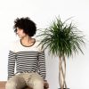 Buy Potted Bloomscape Dracaena Marginata Open Weave Indoor Plant