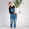 Buy Homeforest Potted Sansevieria Sayuri