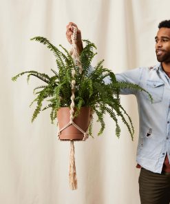 Macrame Plant Hanger
