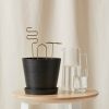 Buy Homeforest Plant Sticks