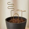 Buy Homeforest Plant Sticks
