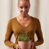 Buy Homeforest Edible Garden Potted Lavender Plant