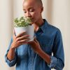Buy Homeforest Potted Mint