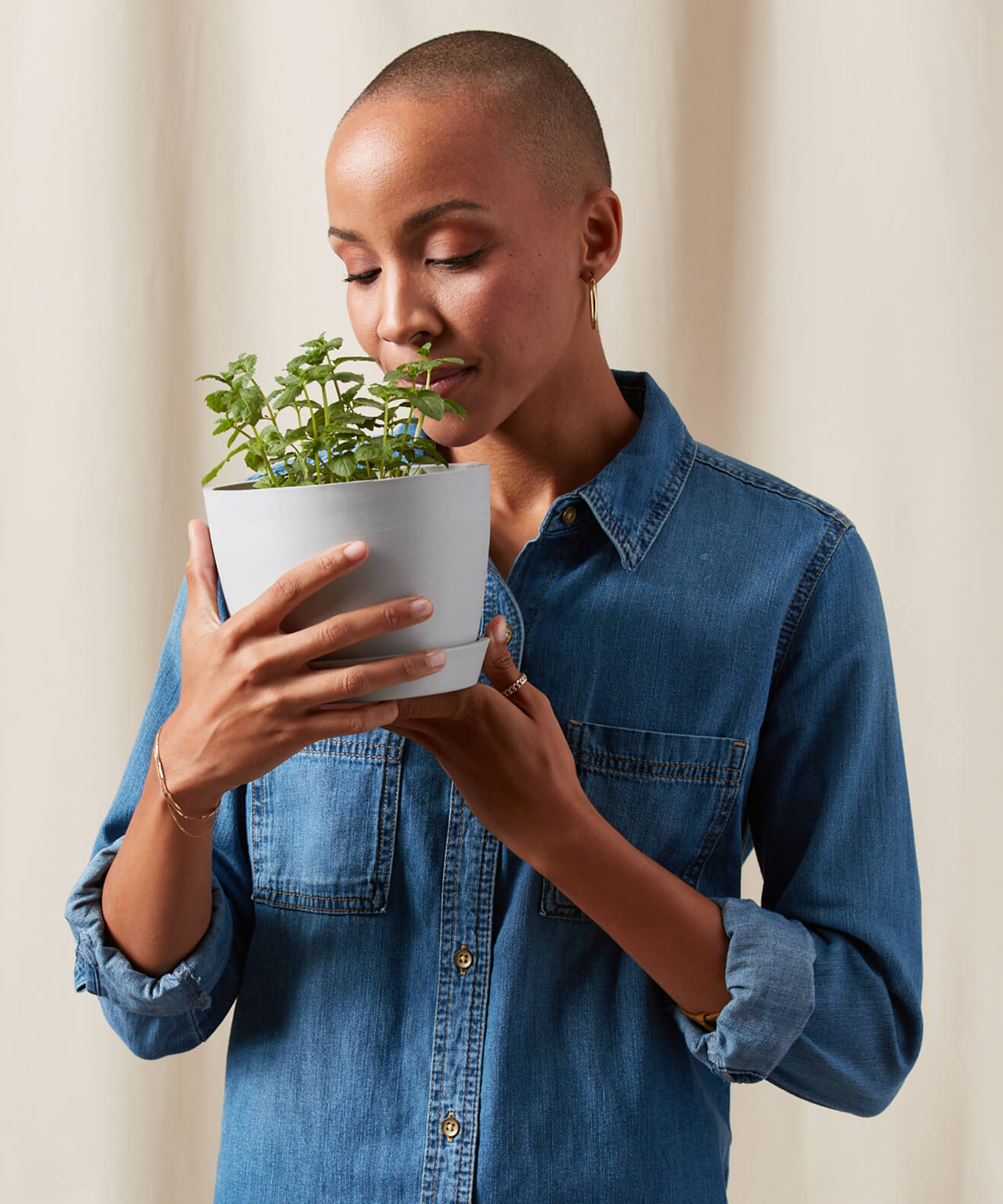 Buy Homeforest Potted Mint Buy Homeforest Potted Mint