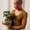 Buy Homeforest Potted Tomato Plant