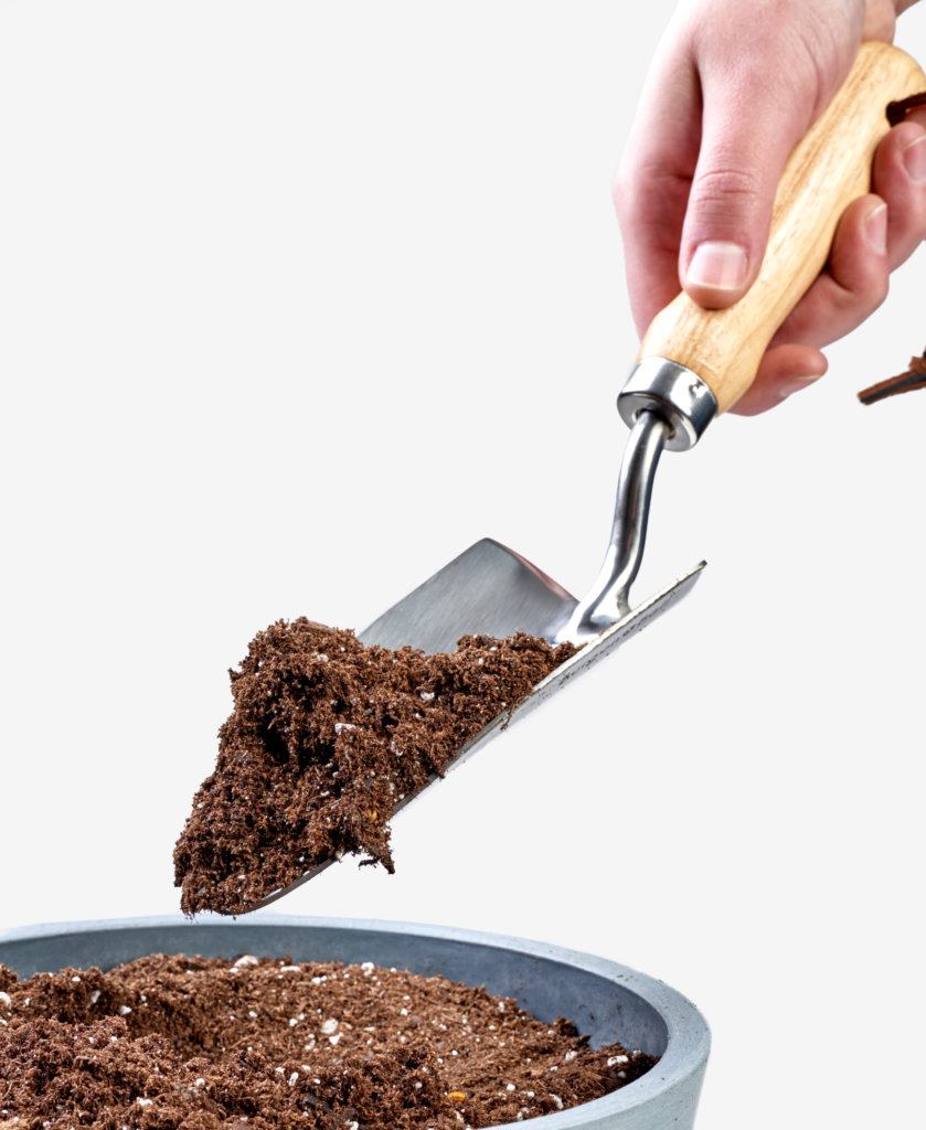 bloomscape_product_hand-trowel_action-839x1024-2 Buy Bloomscape Hand Trowel
