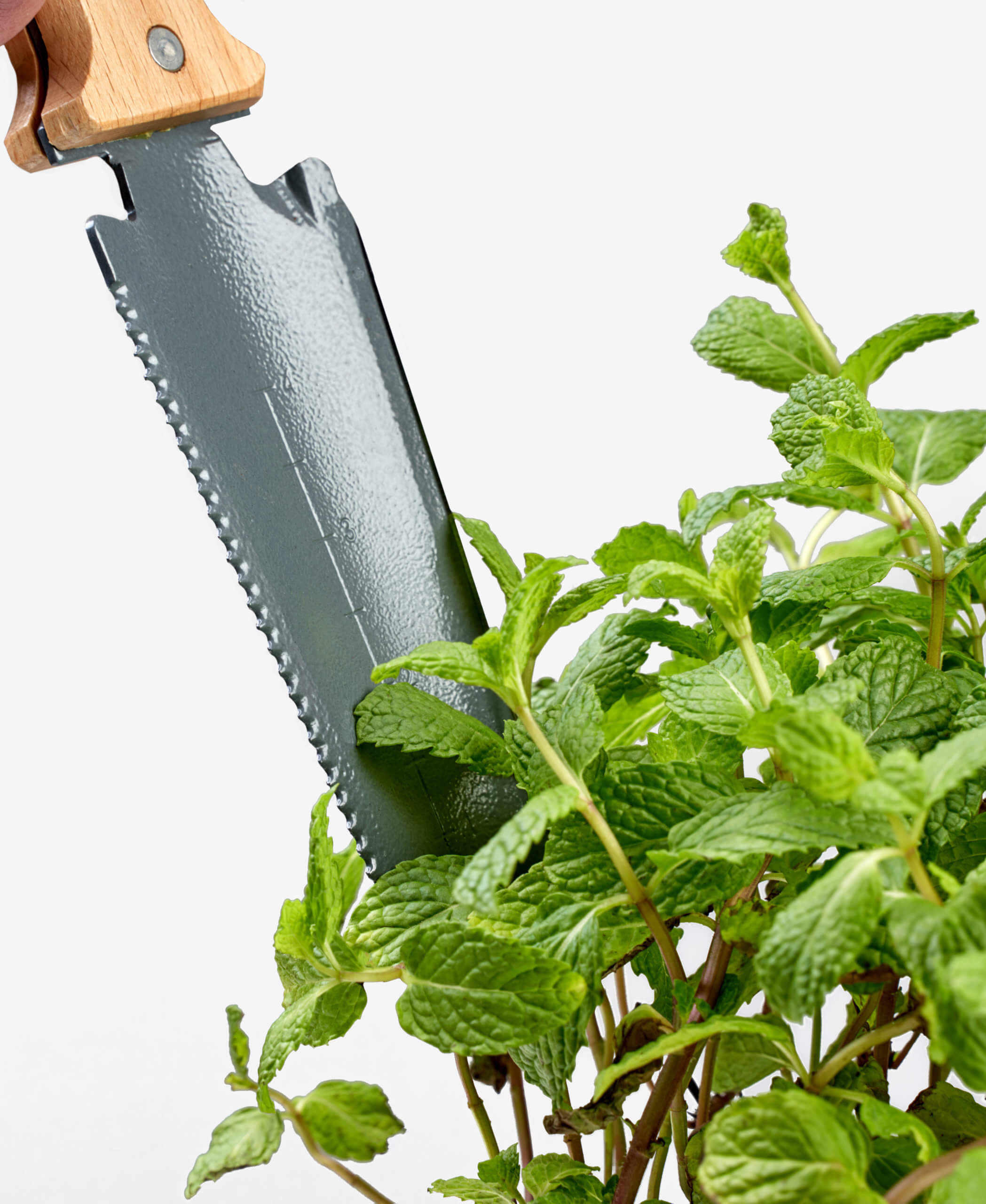 bloomscape_product_soil-knife_action2-1-scaled-2 Buy Homeforest Soil Knife
